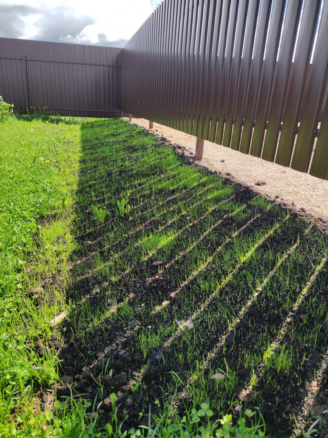 Чернозем для газона в Рузе Чернозем Руза купить с доставкой