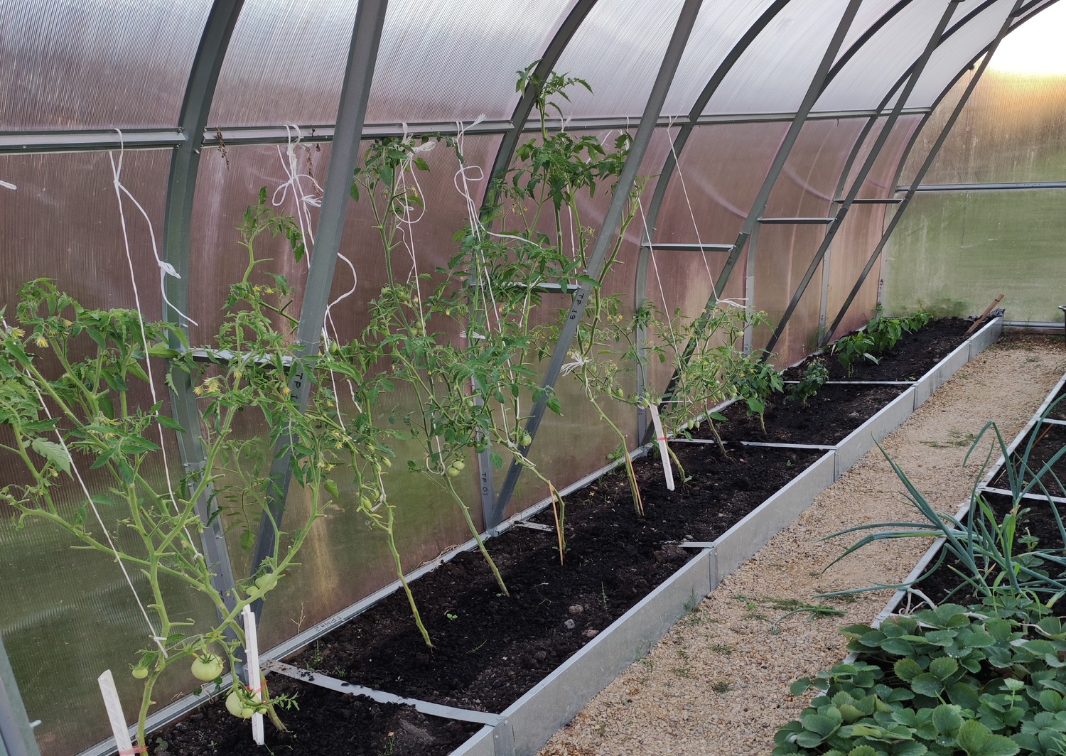 Чернозем для грядок в Рузе Чернозем для теплицы Руза купить с доставкой